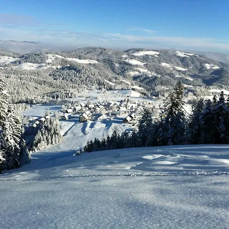 Taja Podvelka